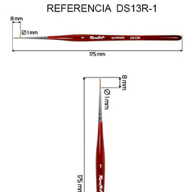 DS13R-1