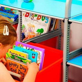 ordenacion-libros