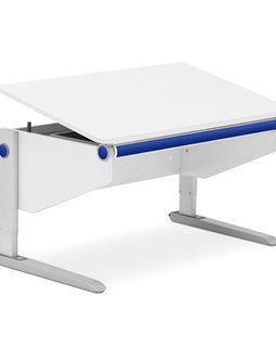 Mesa Winner