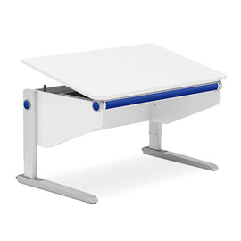 Mesa Winner