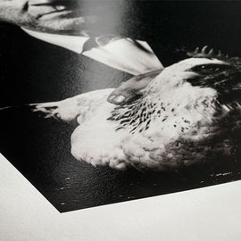 Papel Hahnemühle Photo Rag Baryta